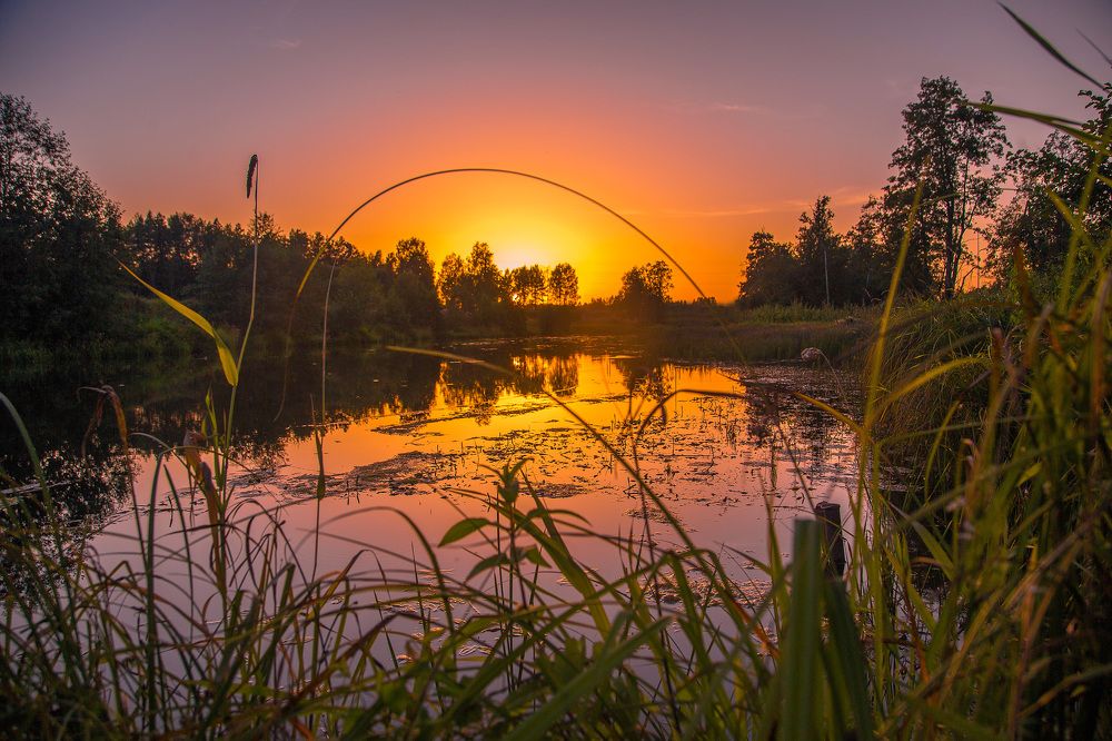 Photograph by Воробьёв Евгений