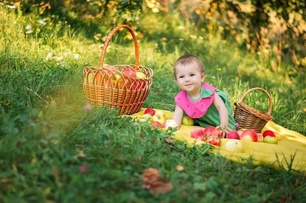 Сбор урожая