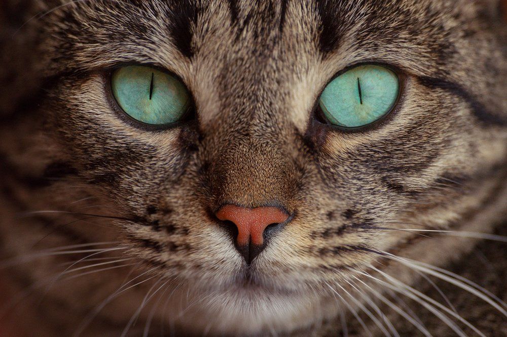 Photograph by Александр Смирнов