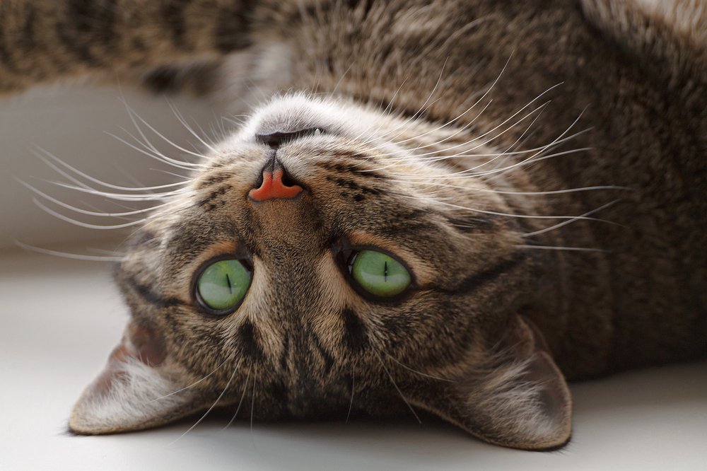 Photograph by Александр Смирнов