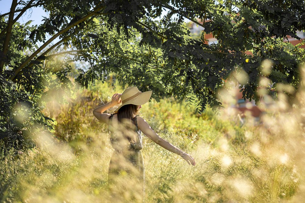 В ожидании лета