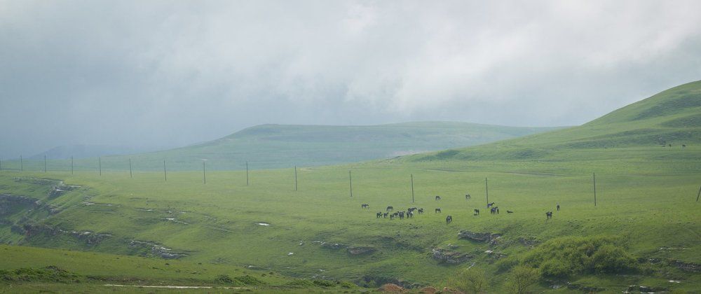 Безмятежность