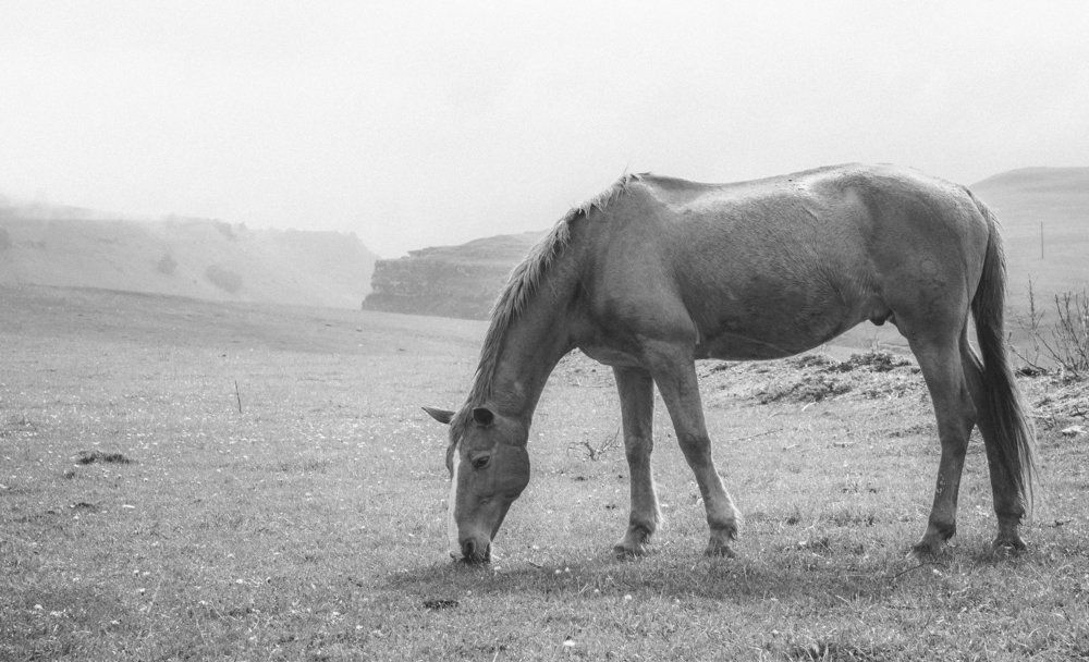 Спокойствие