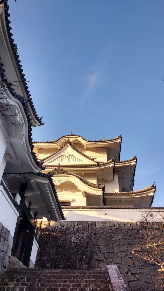 Photograph by Carolina G Silva Mandela Santos