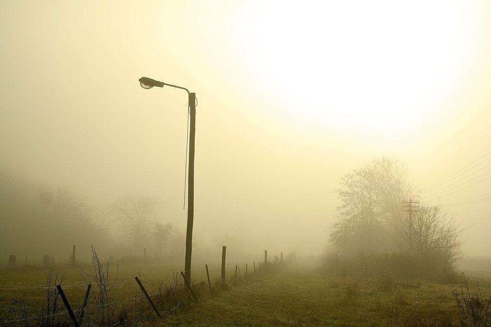 пойдем со мной, Come with me