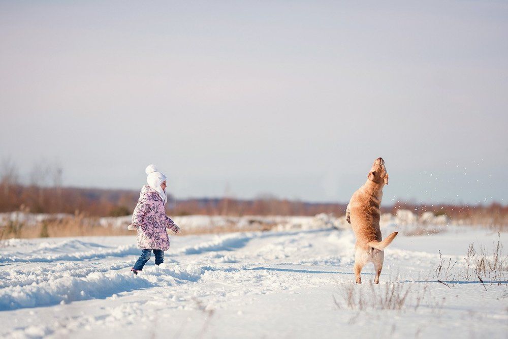Детская радость