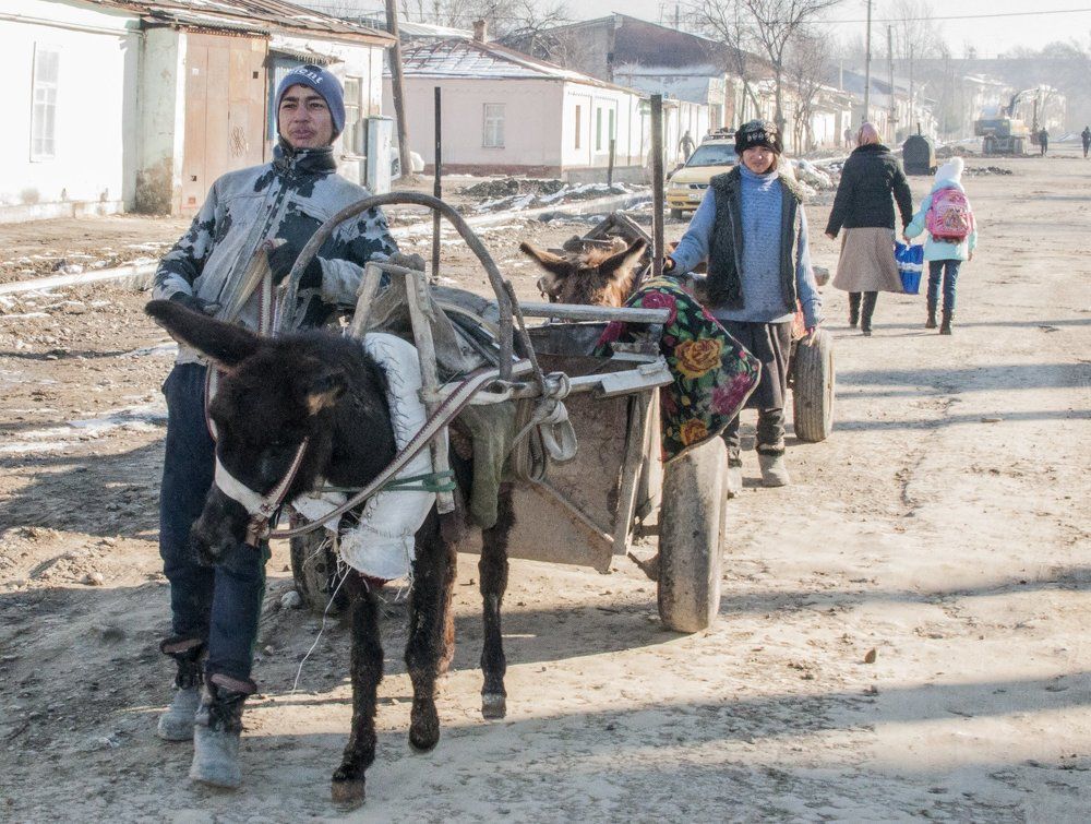 Мальчик-цыган