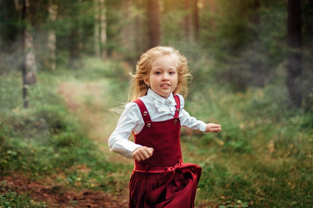 В таинственном лесу