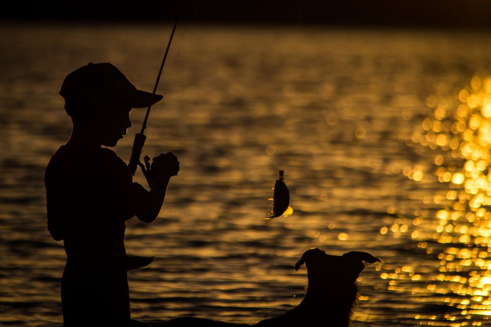 caught in the sunlight