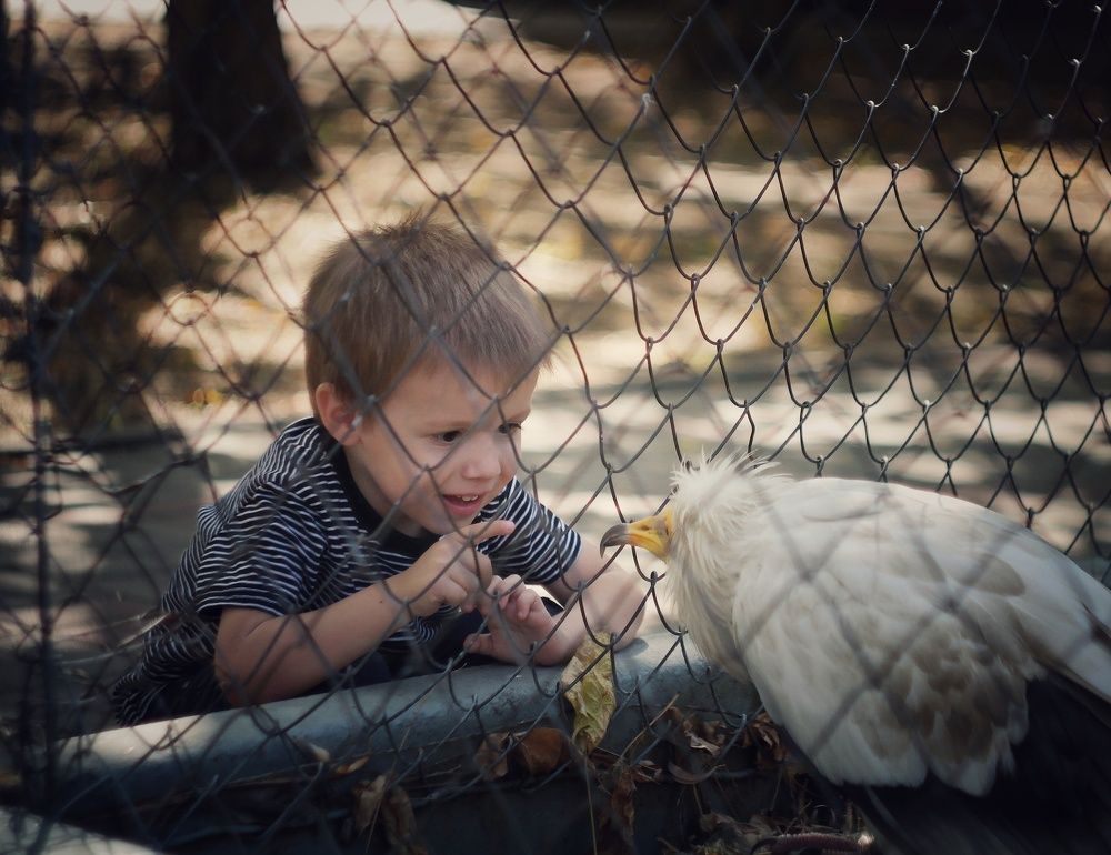 За несколько секунд до..