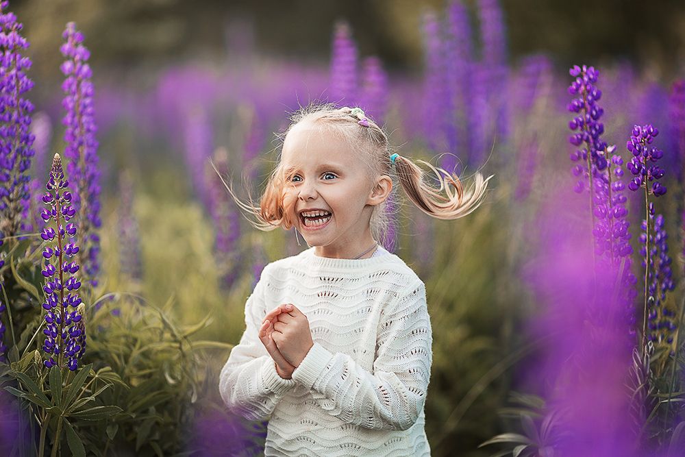 люпиновое счастье