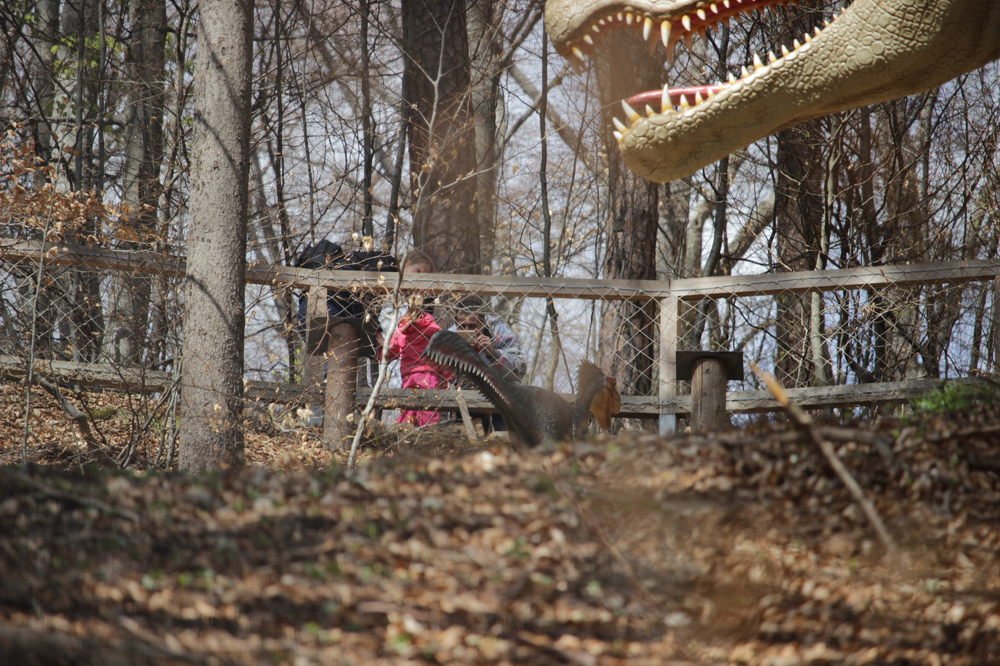 Photograph by Евгений Мериакре