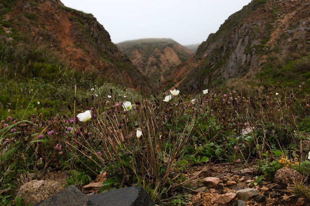 Photograph by Дмитрий Медянников