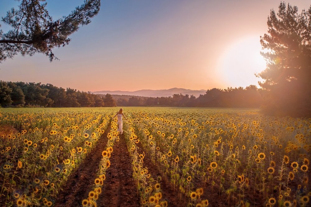 счастье рядом