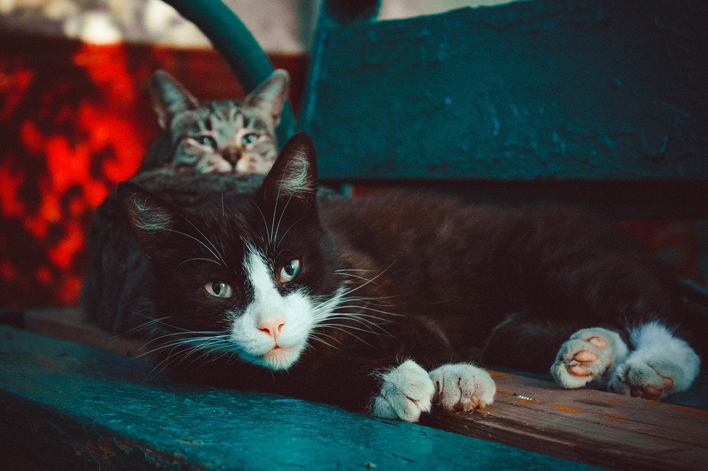 Photograph by Анна Скоморохова