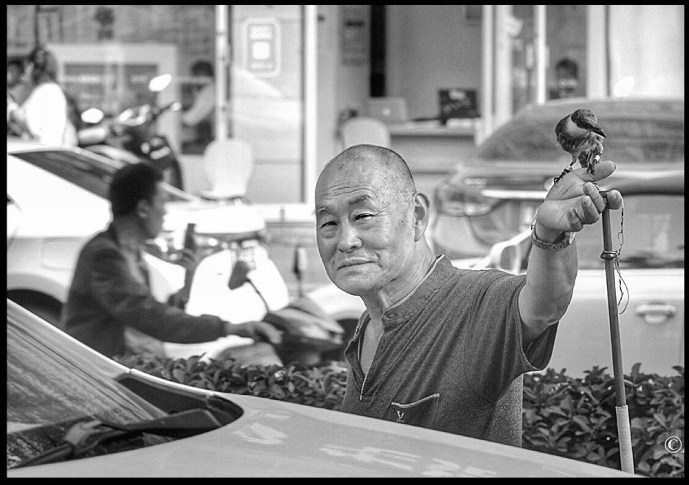 Le promeneur d’oiseau