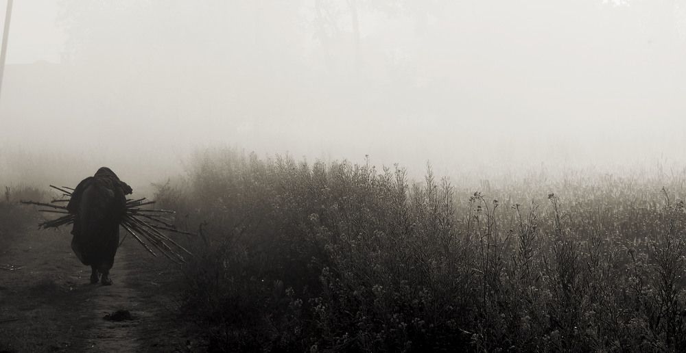 Working tirelessly even in this ripe old age