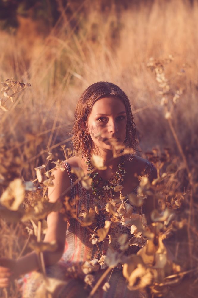 дикие травы