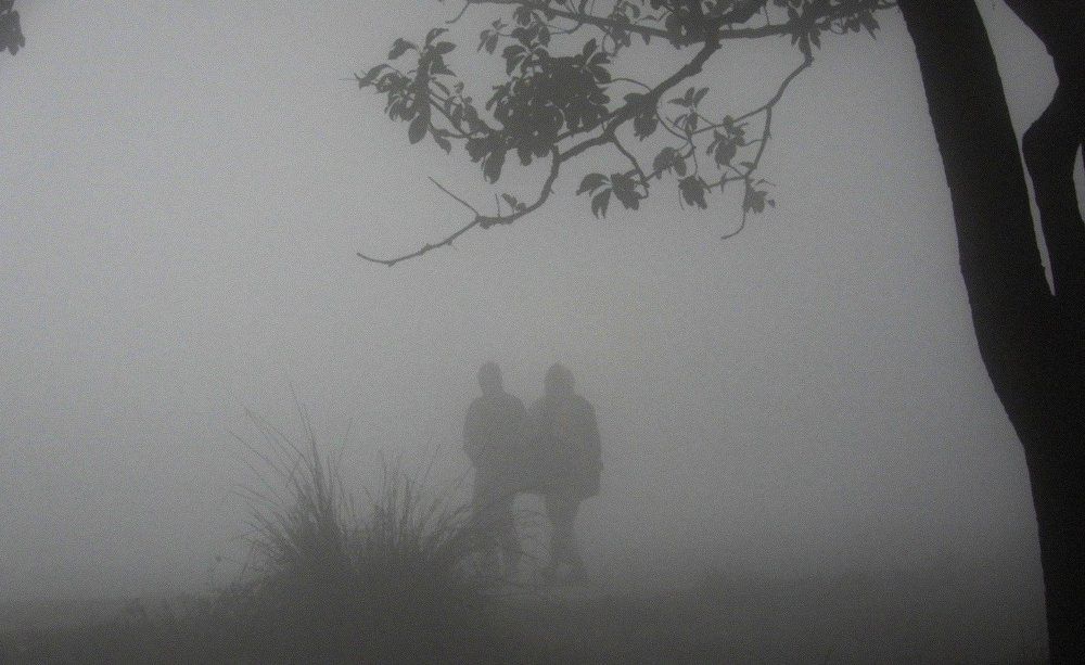 Walking through the mist.