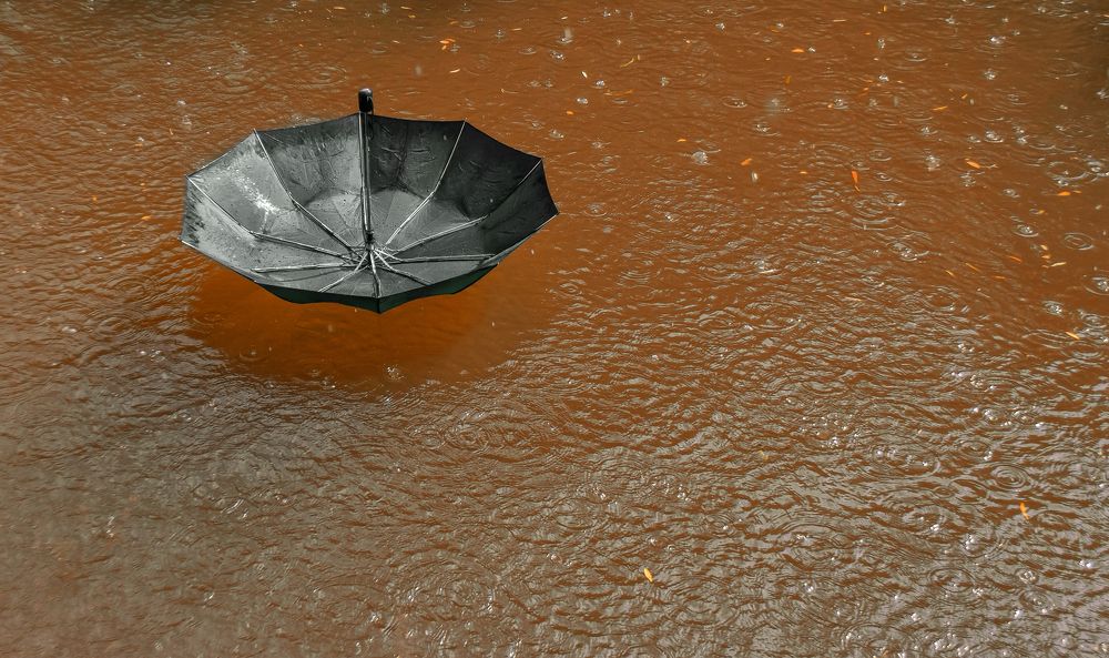 Photograph by Юлия Шестопалова