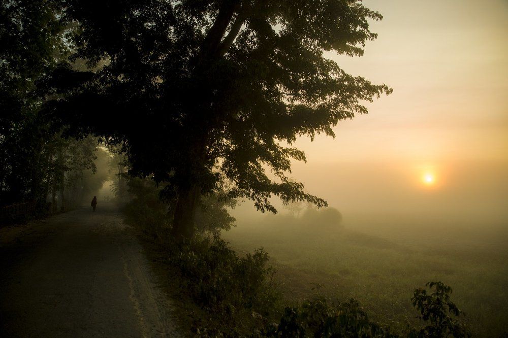 Early Morning Majuli Island
