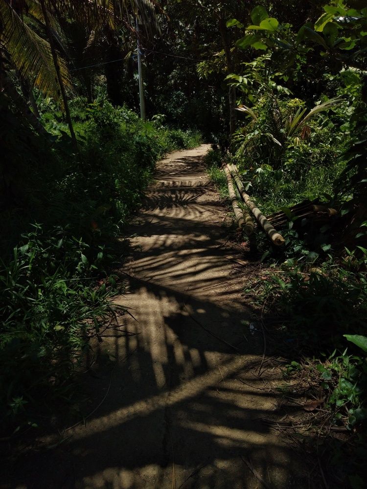 Leading the way on the shadows's path