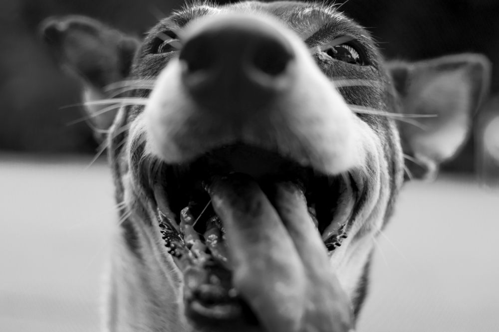 Happy...