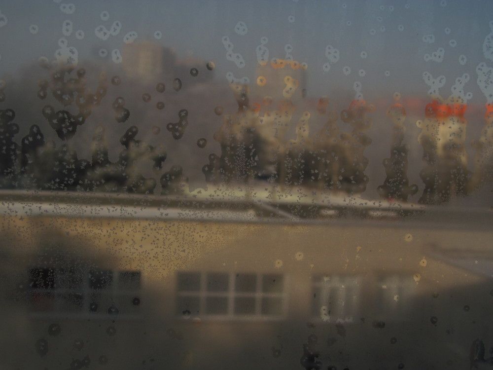 Солнечность. Январь.
