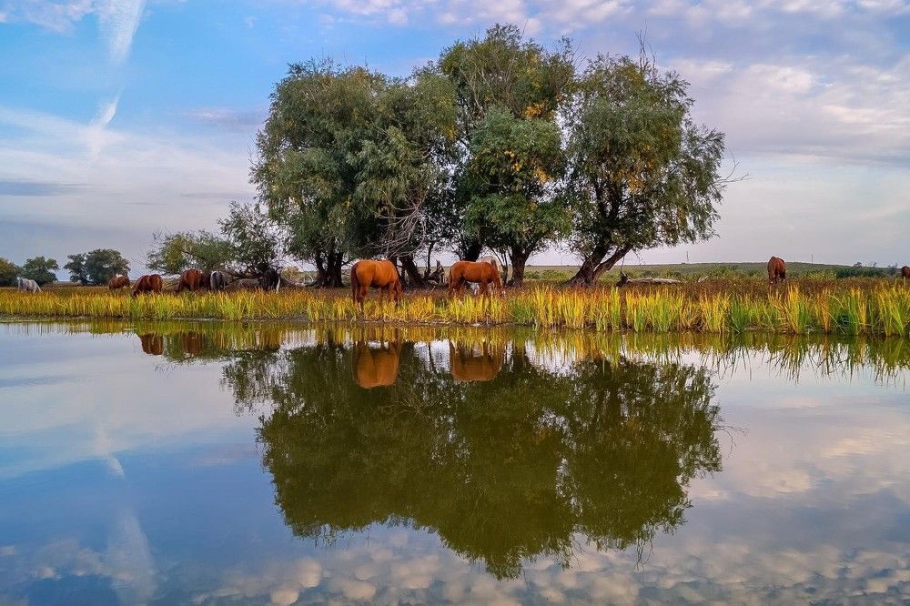 ВЕЧЕРНИЙ ПЕЙЗАЖ