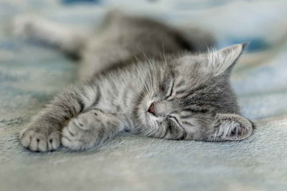 Photograph by Юлия Шестопалова