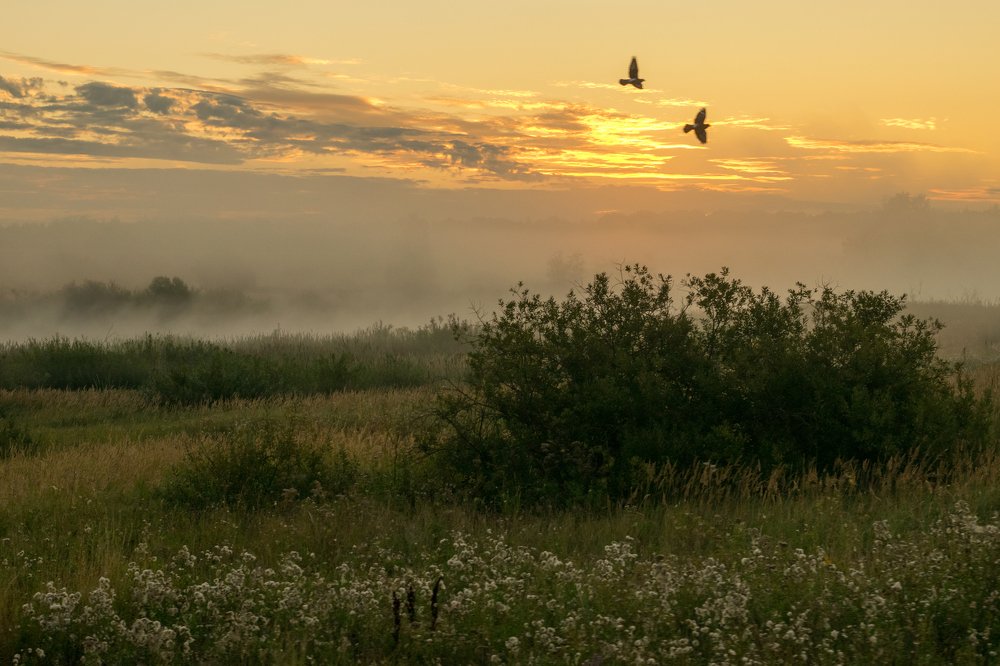 Photograph by Юлия Шестопалова
