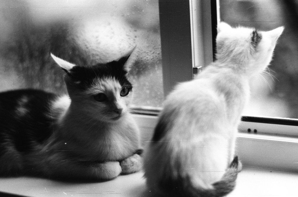 Всё спокойно