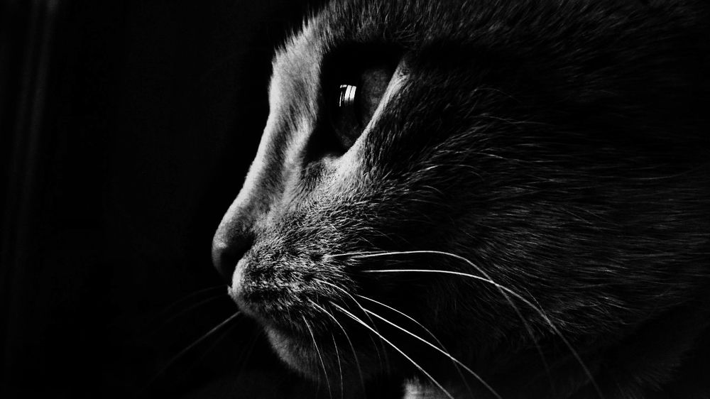 Photograph by Анна Аверьянова