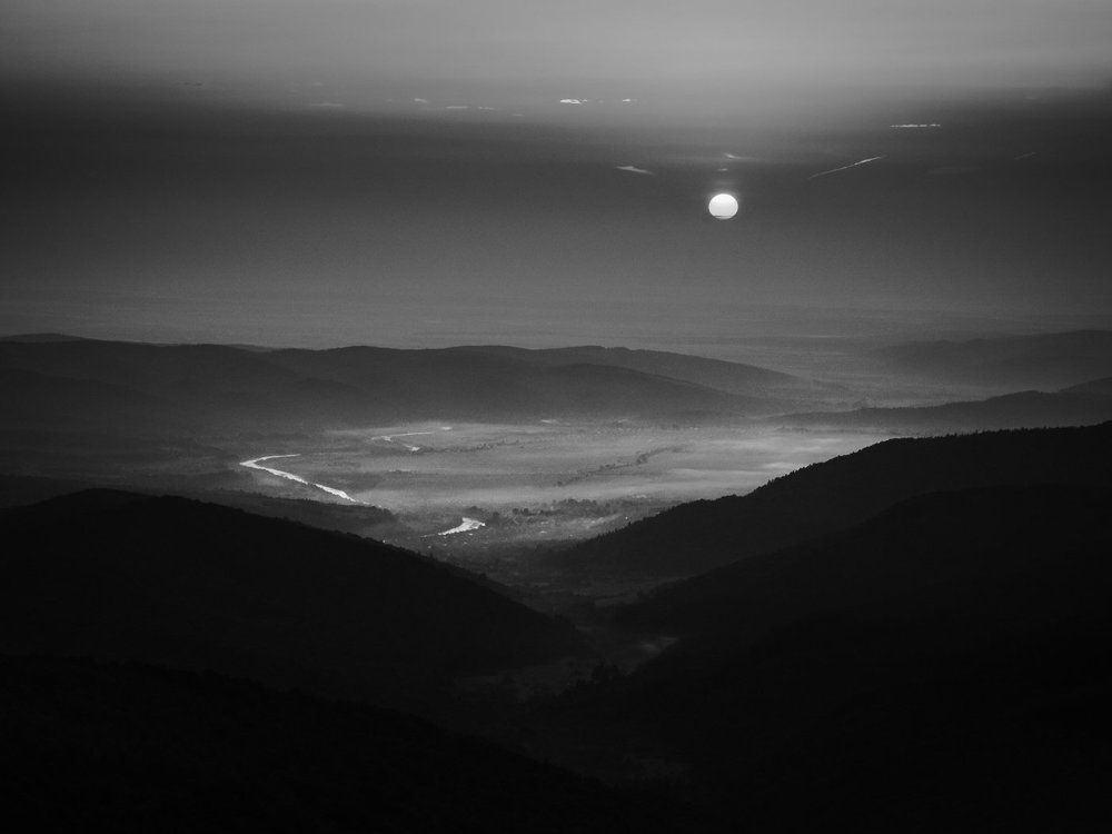 Photograph by Виталий Демус