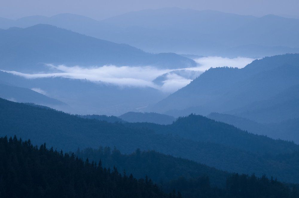 Photograph by Виталий Демус