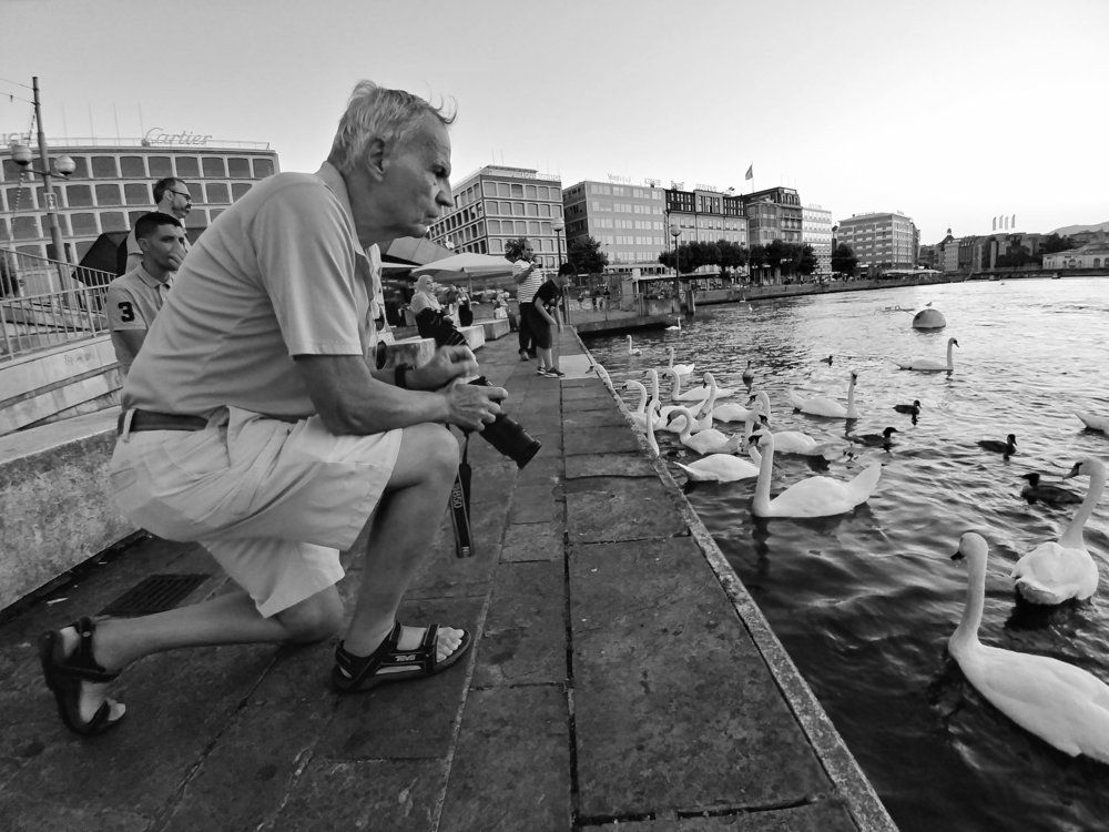 Лебединое озеро