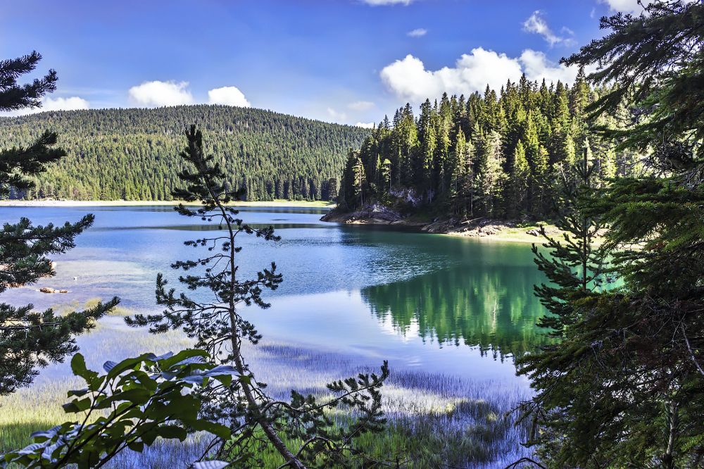 Сине-бирюзовые воды Черного озера в Черногории.
