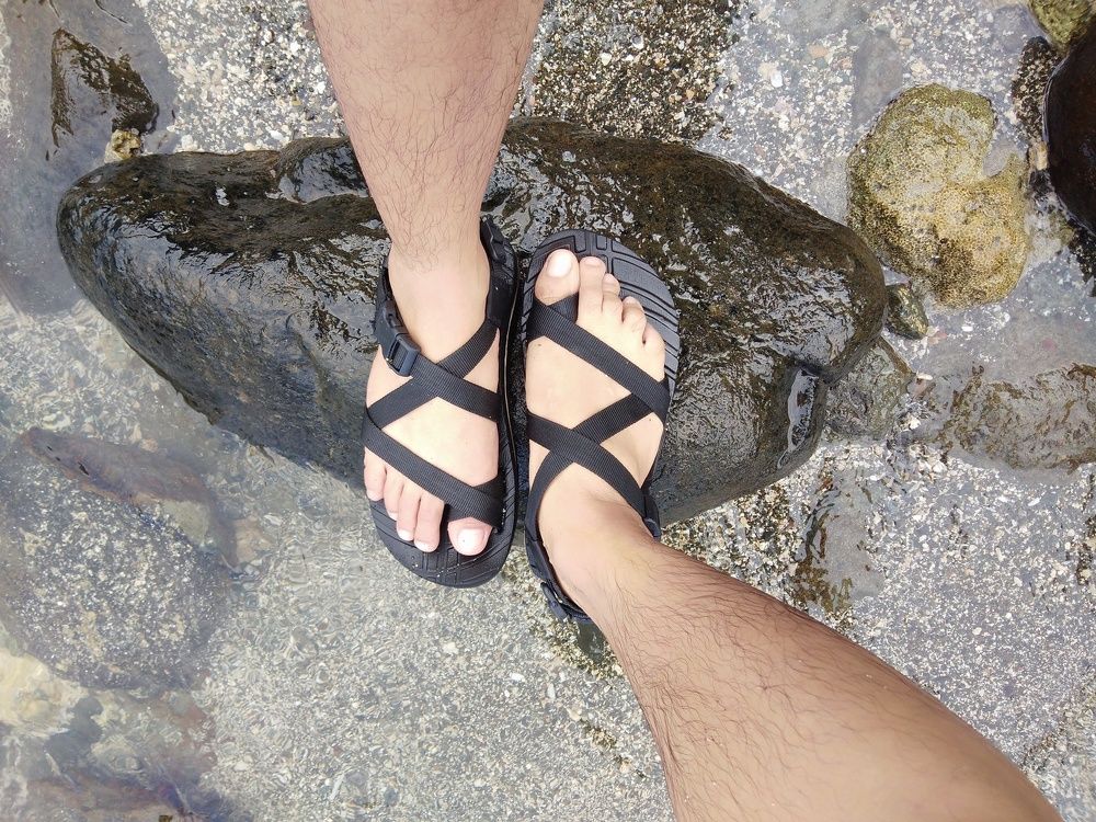 BestFriend/TravelBuddy