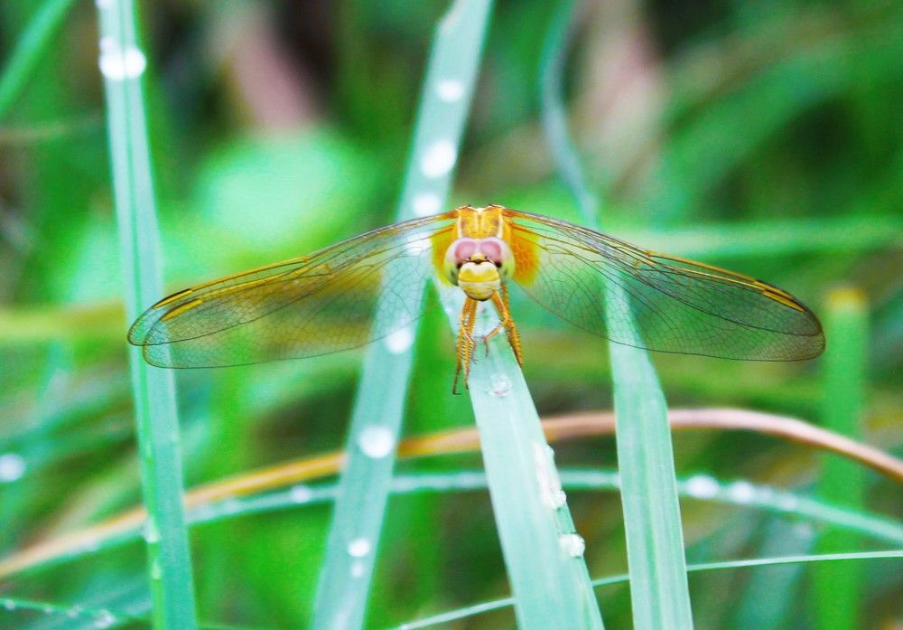 Photograph by Sarmad Sindhi