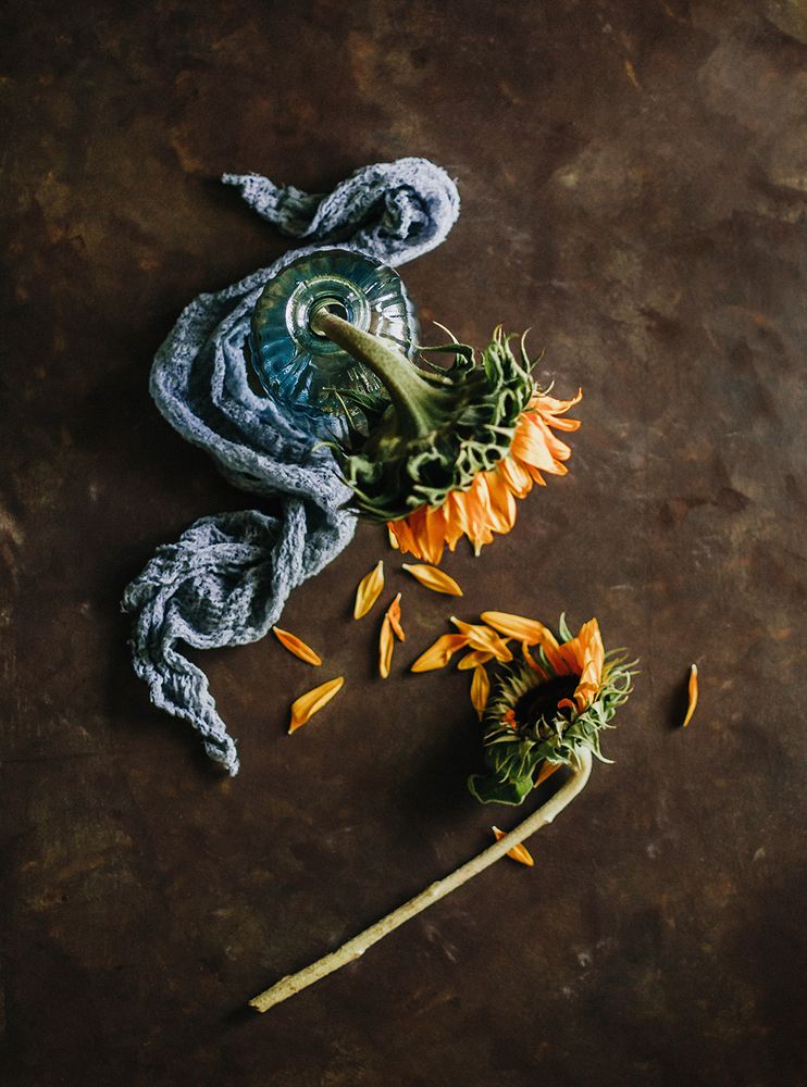 Photograph by Чернякова Анна