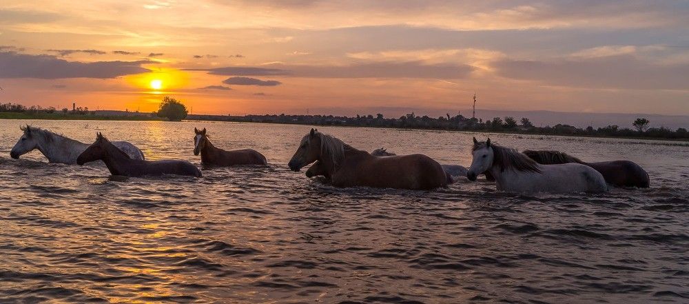 НА ЗАКАТЕ  (половодье)