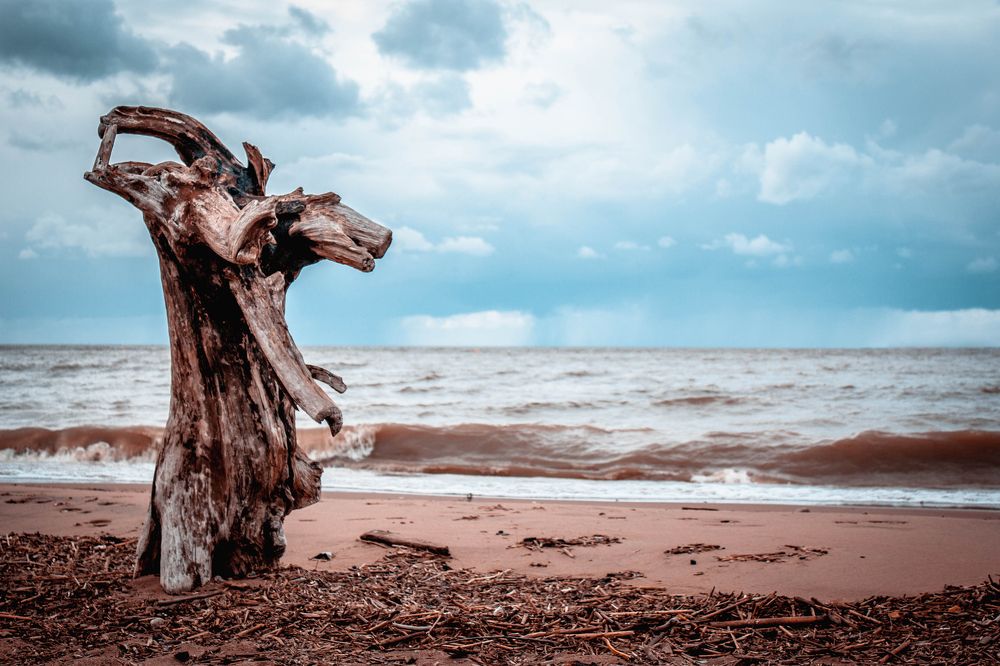 Photograph by Анна Скоморохова