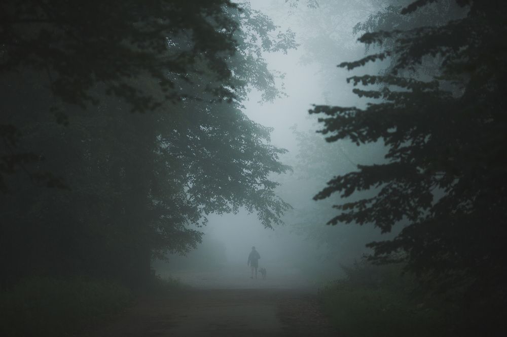 Прогулка в молоке