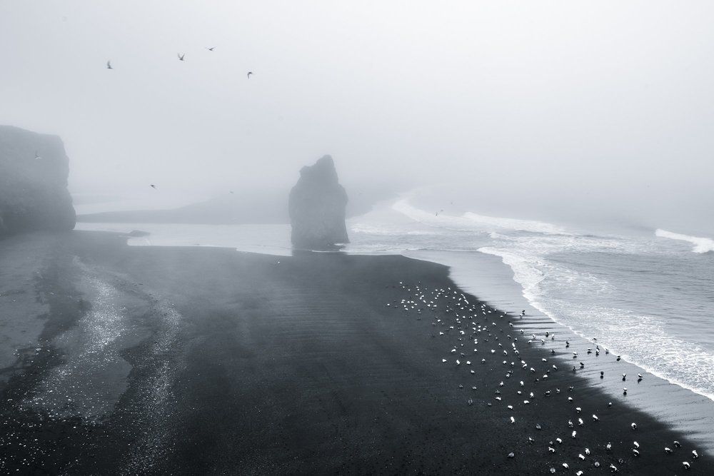 Высадка десанта крылатых