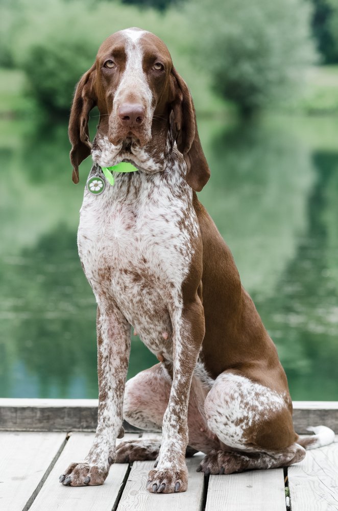 Мисс томный взгляд 2018