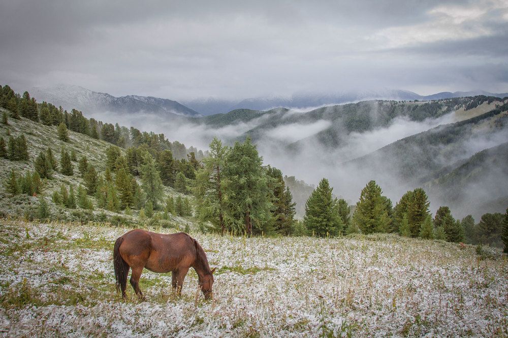 Август в горах