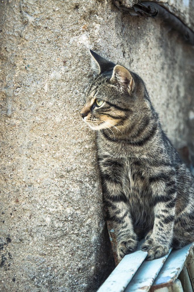 Photograph by Зачепило Евгений