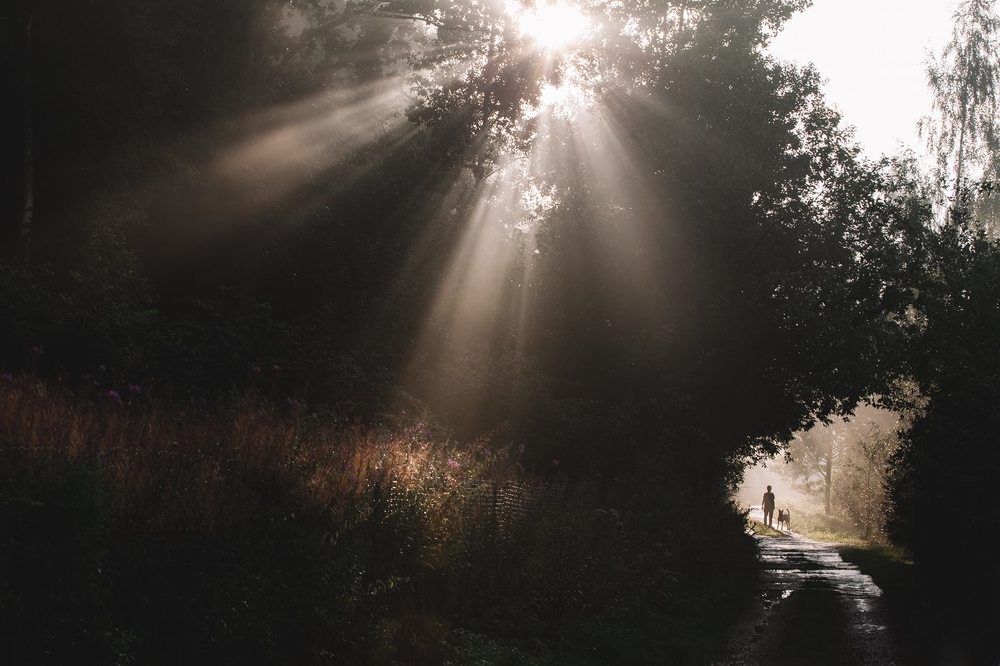 после дождя