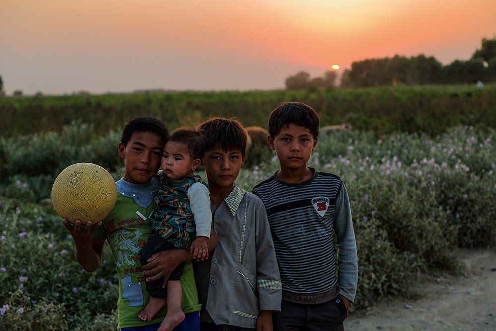 Photograph by Alireza Ghasemi