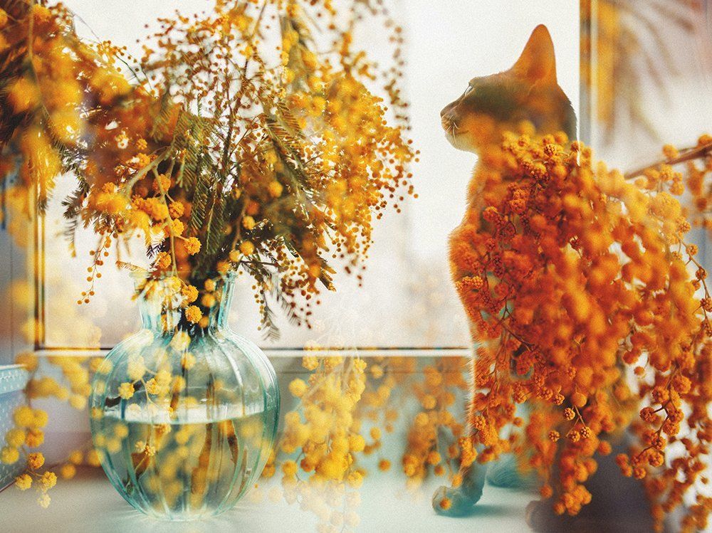 Photograph by Наталья Мишина